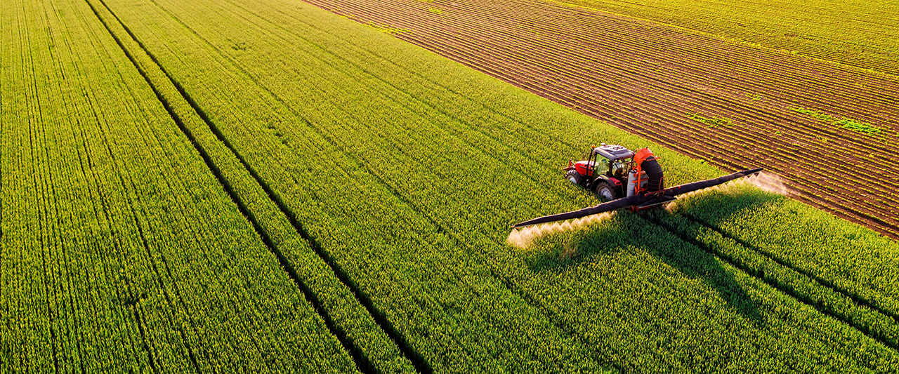 A decorative image denoting agriculture