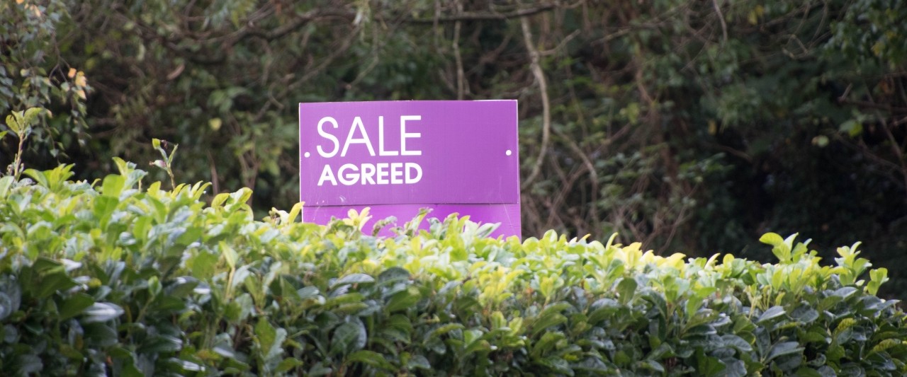 Hedge with a Sale Agreed Sign